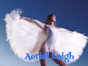 Aerial_Leigh