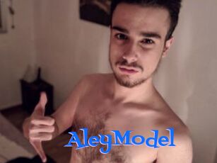 AleyModel