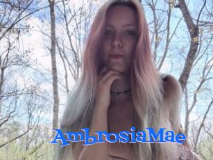 AmbrosiaMae
