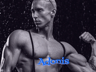 Adonis_