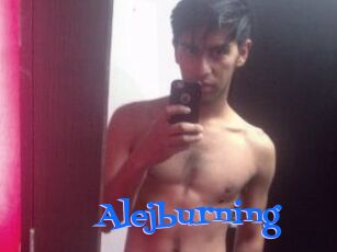 Alejburning