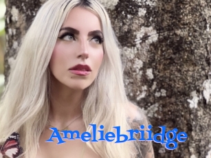 Ameliebriidge