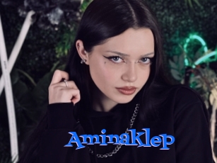 Aminaklep