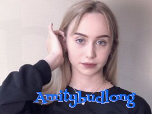 Amitybudlong