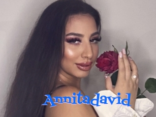 Annitadavid