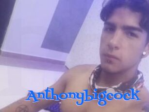 Anthonybigcock