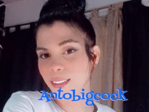 Antobigcock