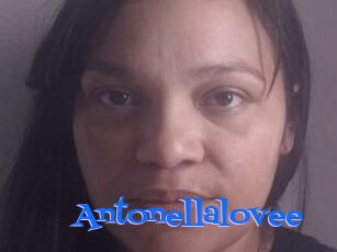 Antonellalovee