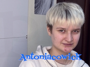 Antoniacowick