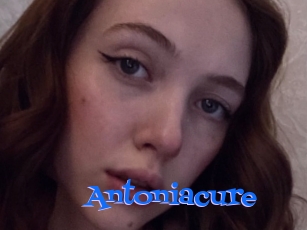 Antoniacure