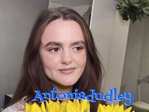 Antoniadudley