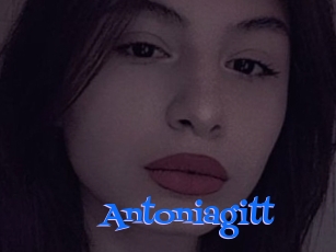 Antoniagitt