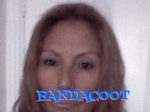 BANDACOOT