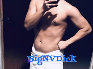 BigNVDick