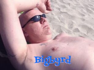 Bigbyrd