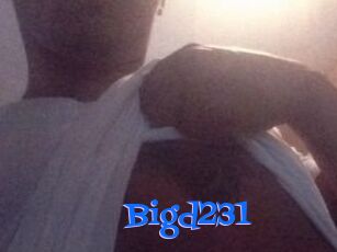 Bigd231