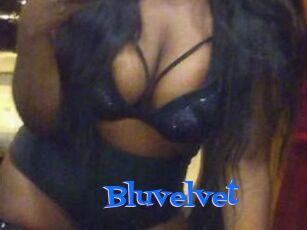 Bluvelvet