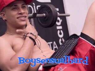 Boysensualhard