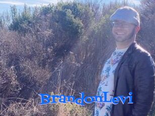 BrandonLevi