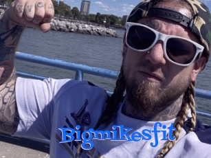 Bigmikesfit