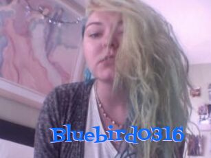 Bluebird0316