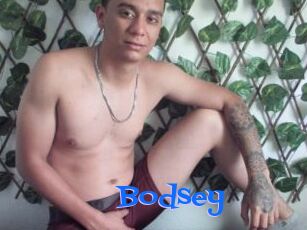 Bodsey