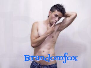 Brandomfox