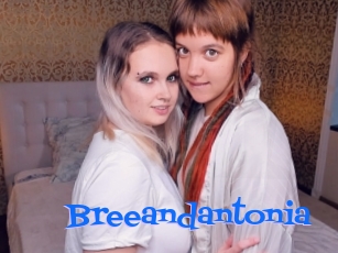 Breeandantonia