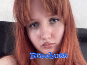 Breebuss