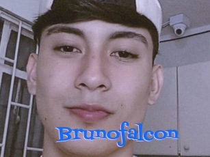 Brunofalcon