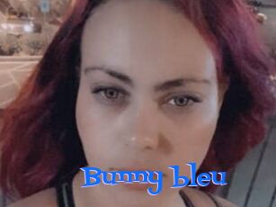 Bunny_bleu