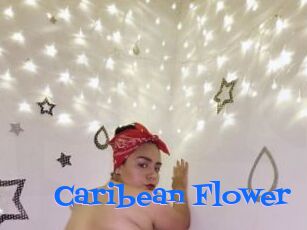 Caribean_Flower