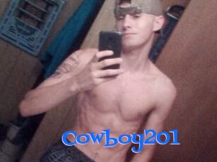 Cowboy201