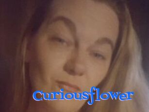 Curiousflower