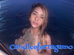 Candiceferragamo