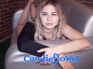 Candieflower