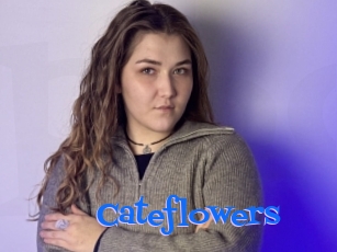 Cateflowers