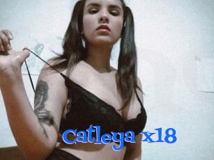 Catleya_x18