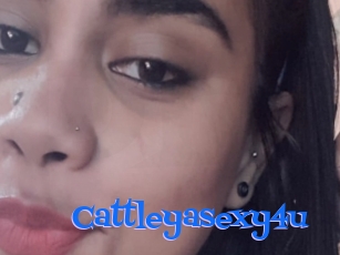 Cattleyasexy4u