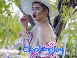 Cleolangley