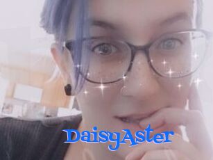 DaisyAster