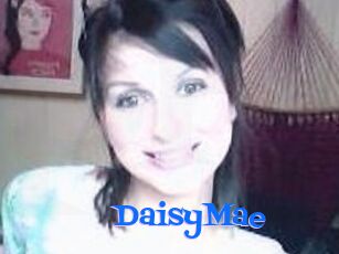 Daisy_Mae