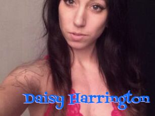 Daisy_Harrington