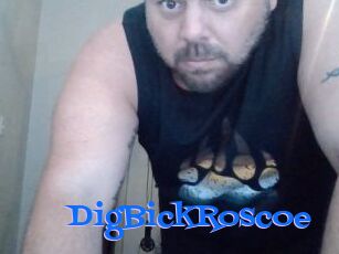 DigBickRoscoe