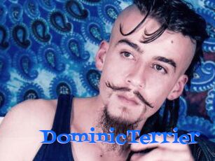 DominicTerrier