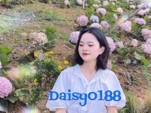 Daisy0188