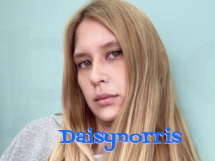 Daisynorris