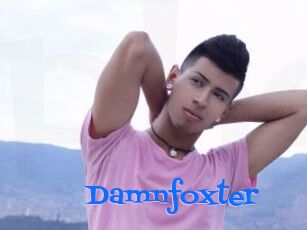 Damnfoxter