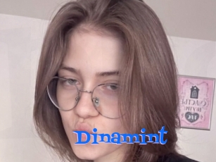 Dinamint