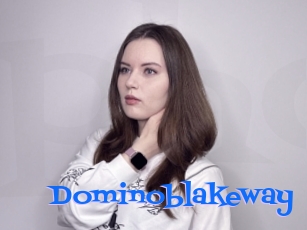 Dominoblakeway